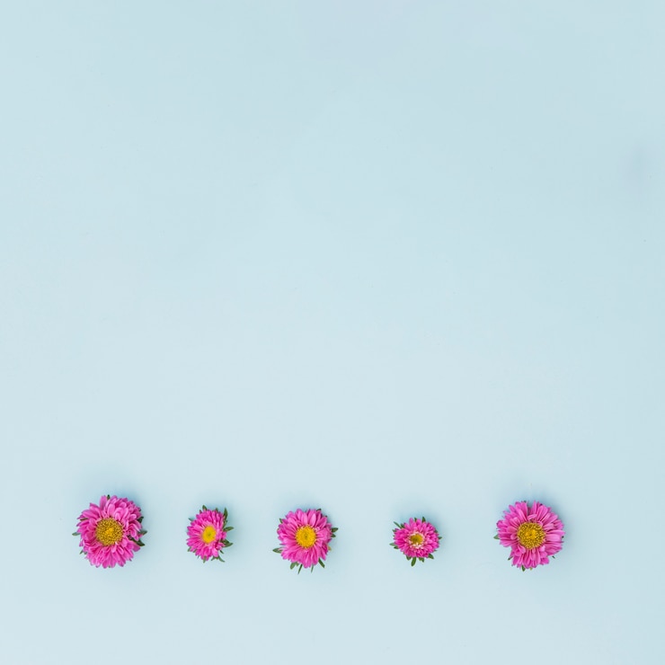Foto gratuito composición de las flores violetas.