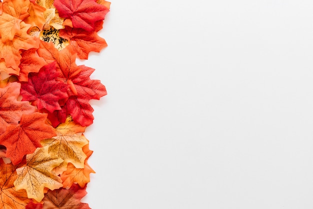 Composición de frontera de marco de hojas de otoño