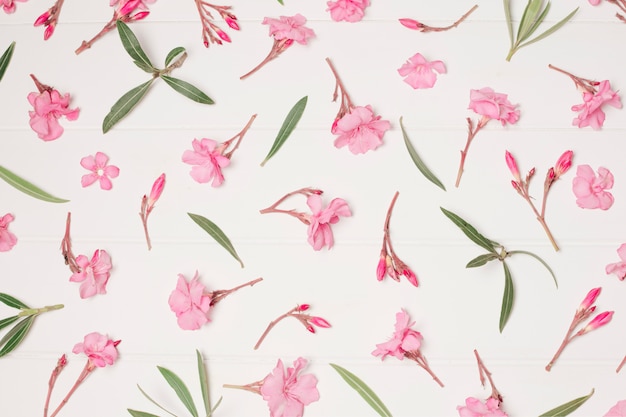 Foto gratuita composición de hermosas flores rosas y plantas