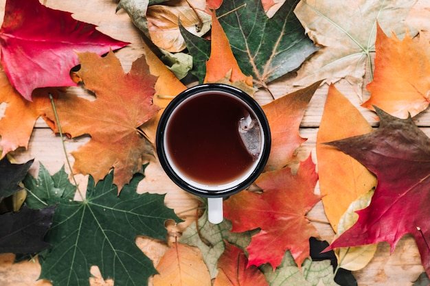 Composición de la hoja de otoño con taza de té en la madera