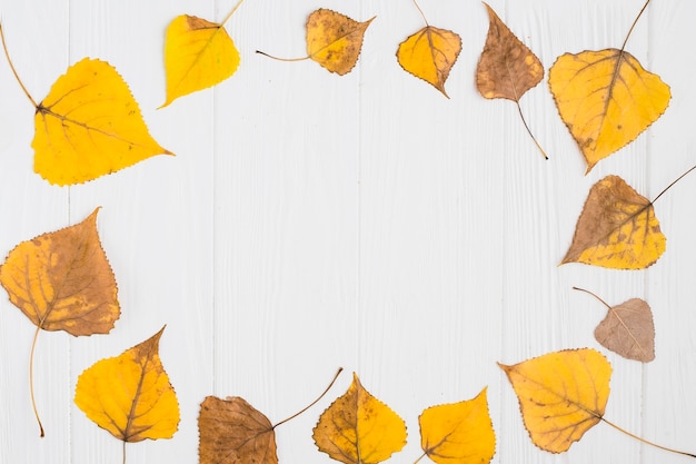 Composición de hojas amarillas de otoño