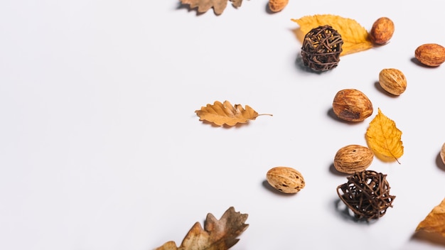 Composición de hojas de otoño y granos de melocotón