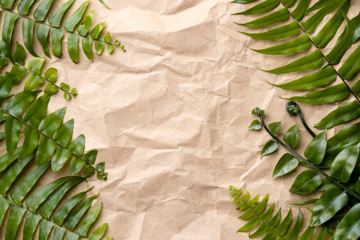 Foto gratuito composición de hojas verdes con espacio de copia