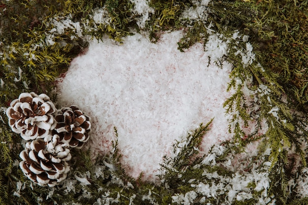 Foto gratuita composición de invierno con espacio en medio