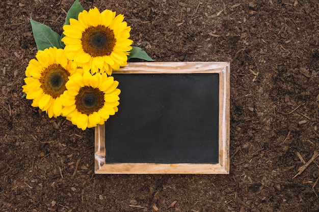 Foto gratuita composición de jardinería con girasoles y pizarra en blanco