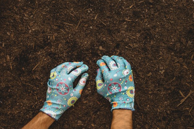 Composición de jardinería con manos plantando