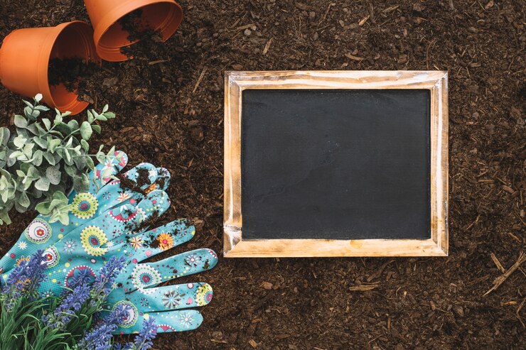 Foto gratuito composición de jardinería con pizarra