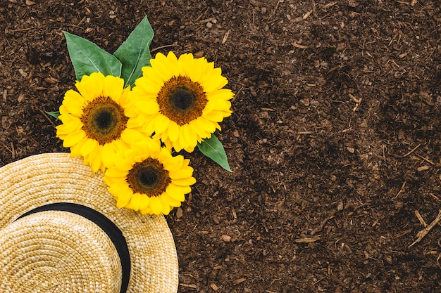 Foto gratuita composición de jardinería con sombrero y girasoles