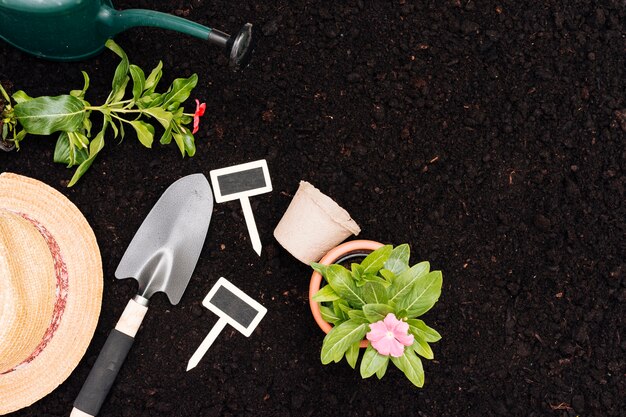 Composición de jardinería vista superior con espacio de copia