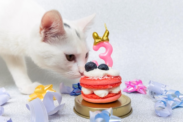 Foto gratuita composición de macarrones de pastel con gato número tres en las cintas de pastel y fondo plateado brillante