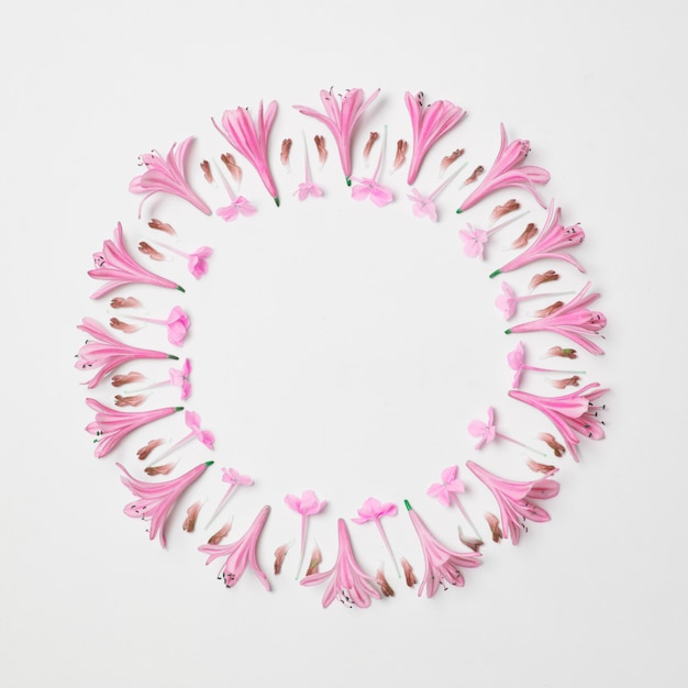 Foto gratuita composición de maravillosas flores rosadas en forma de círculo.