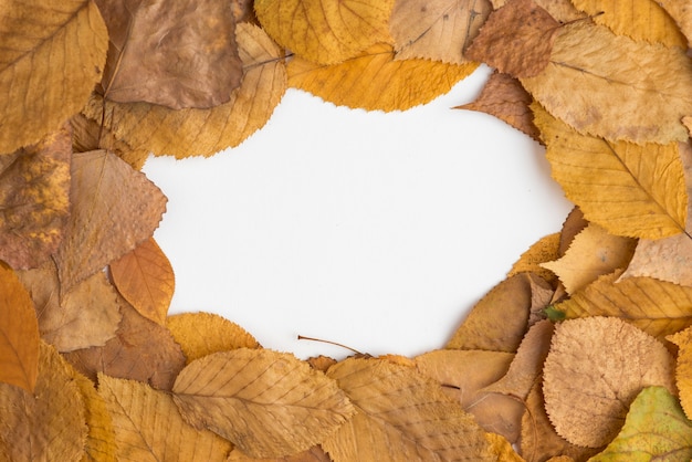 Composición del marco de las hojas caídas del otoño