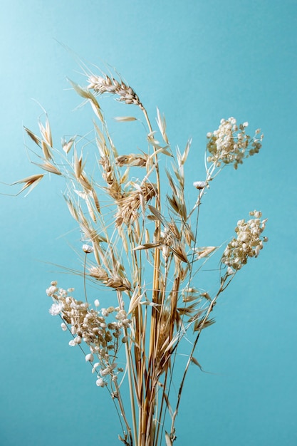 Foto gratuita composición mínima de planta natural sobre un fondo monocromático