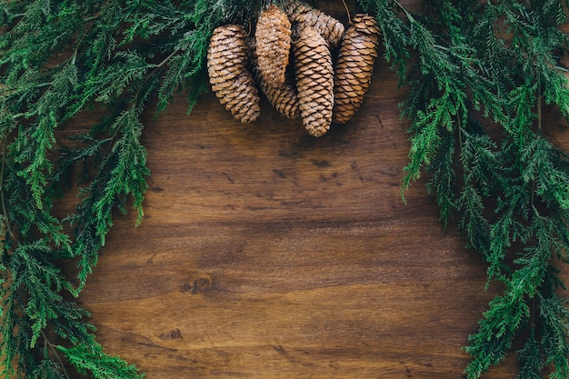 Composición para navidad con abeto y espacio