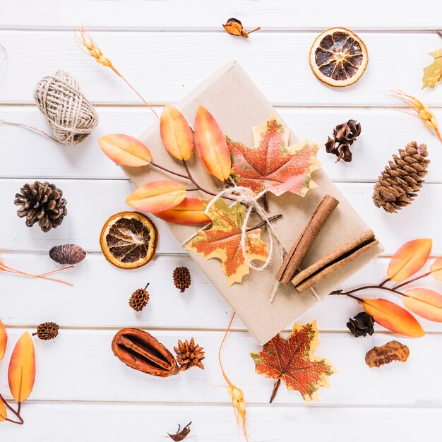 Composición de otoño con regalo sobre fondo blanco