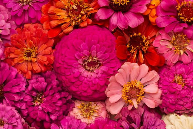 Composición de papel tapiz de flores hermosas
