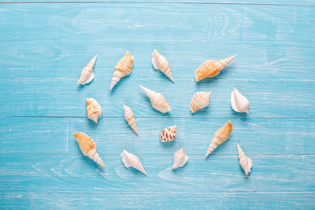 Foto gratuita composición plana de verano con conchas de mar