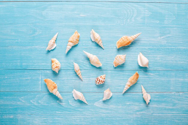 Composición plana de verano con conchas de mar