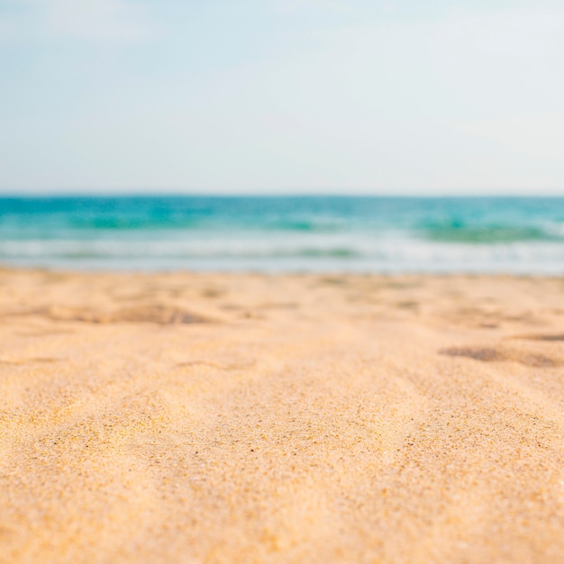 Composición de playa con espacio en blanco para texto