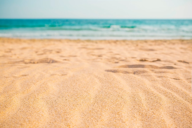 Composición de playa de verano para el fondo