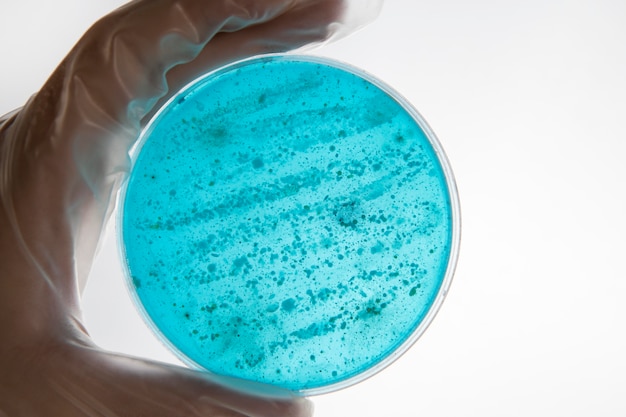 Composición química del día mundial de la ciencia de la naturaleza muerta