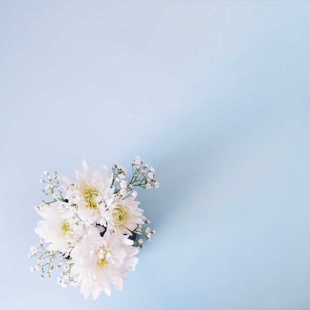Composición romántica de flores suaves en azul