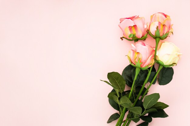Composición romántica hecha con rosas sobre un fondo rosa
