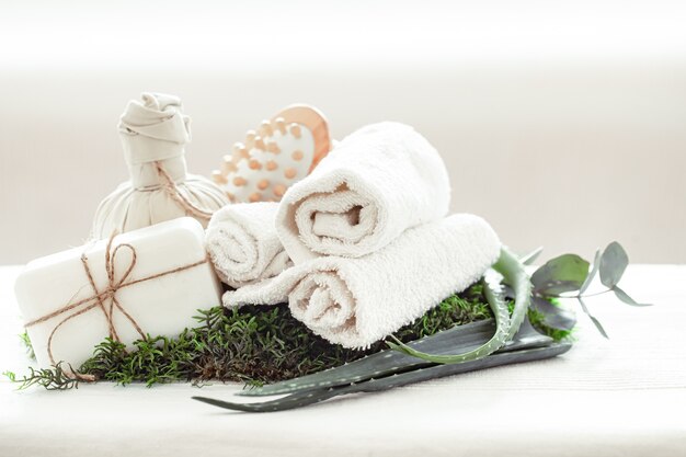 Composición de spa con Aloe Vera sobre un fondo claro con una toalla blanca retorcida.