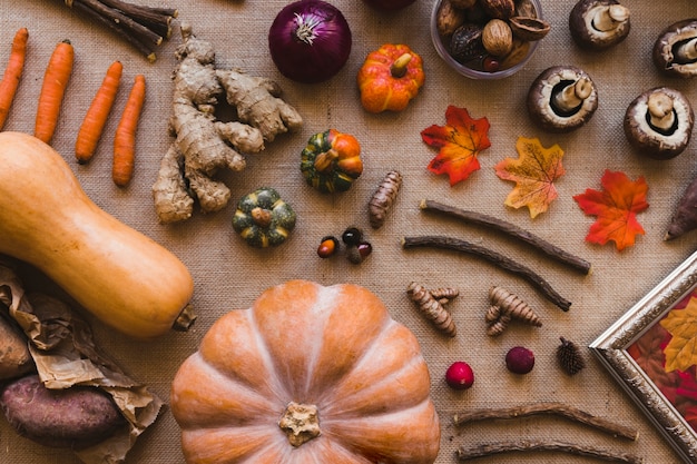 Foto gratuita composición surtida de verduras de otoño