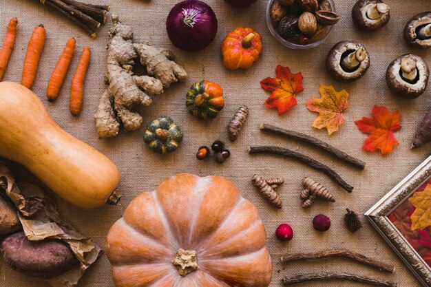 Composición surtida de verduras de otoño