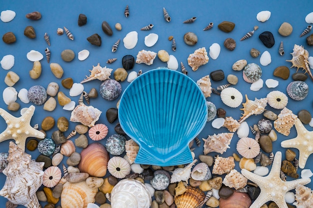 Composición veraniega con conchas marinas y estrellas de mar fantásticas