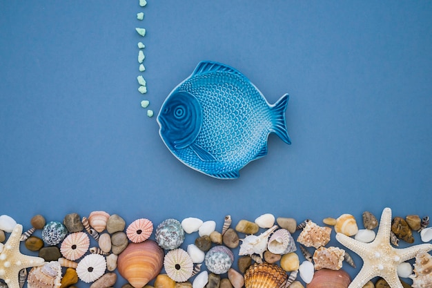 Foto gratuita composición veraniega con pez azul y variedad de conchas marinas