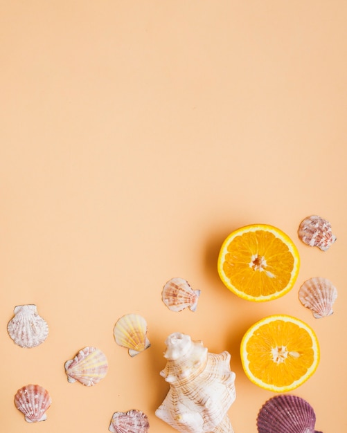 Composición de verano con conchas y naranjas