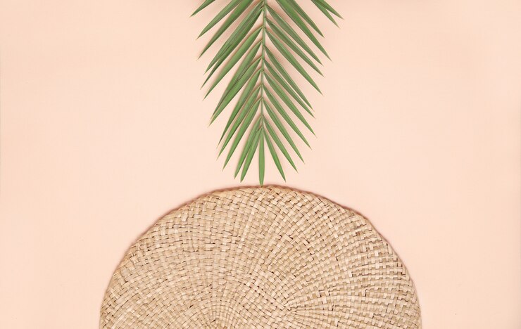 Composición de verano estilo plano laico