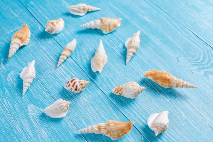 Foto gratuito composición de verano plana con conchas marinas