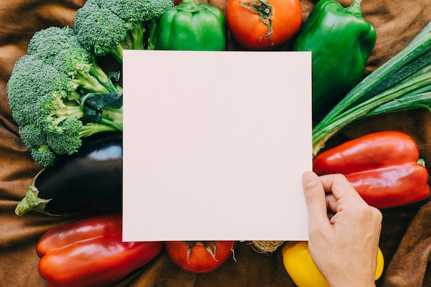 Composición de verduras con papel y mano