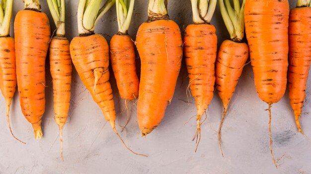 Composición de la vista superior de zanahorias con espacio de copia