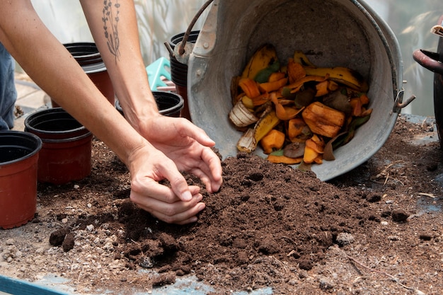 Compost concepto de naturaleza muerta