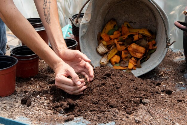 Compost concepto de naturaleza muerta