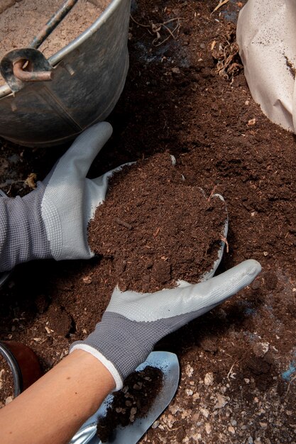 Compost concepto de naturaleza muerta