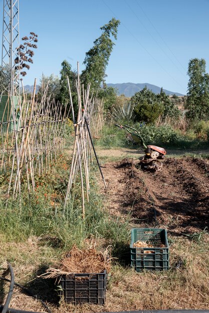 Compost concepto de naturaleza muerta