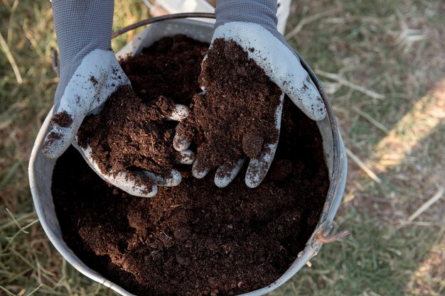 Compost concepto de naturaleza muerta