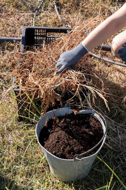 Foto gratuita compost concepto de naturaleza muerta