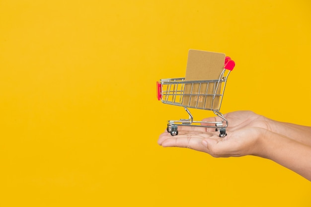 Compras hermosa mujer sosteniendo un carro en la mano en un amarillo.