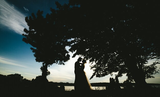 compromiso romántico de la felicidad dos elegancia