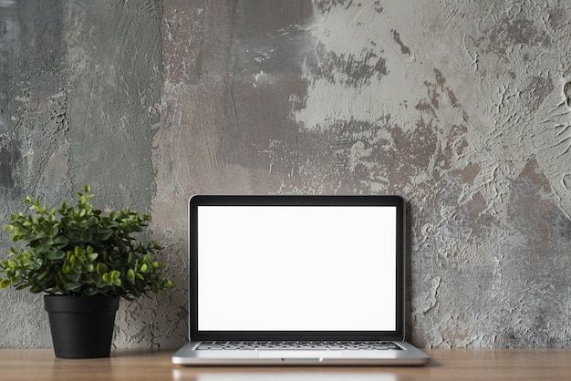 Computadora portátil con pantalla blanca en blanco y planta en maceta frente a la pared vieja