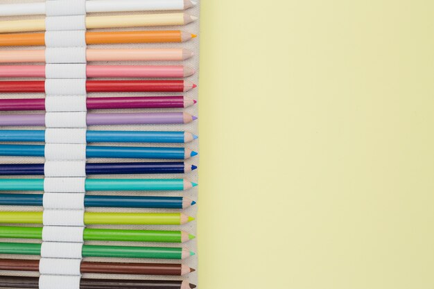 Concepto adorable de artista con lápices de colores