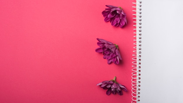 Foto gratuita concepto adorable de flores con libreta