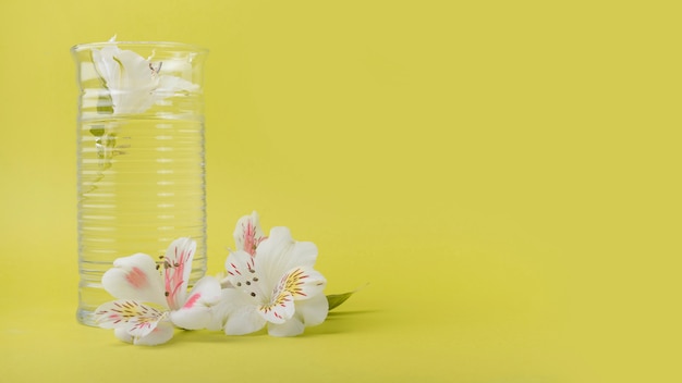 Foto gratuita concepto adorable de flores con vaso de agua