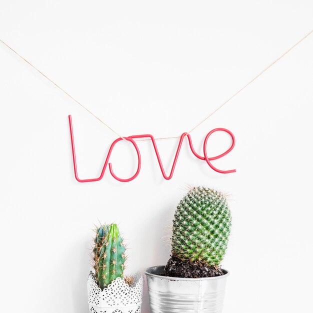 Concepto de amor con cactus